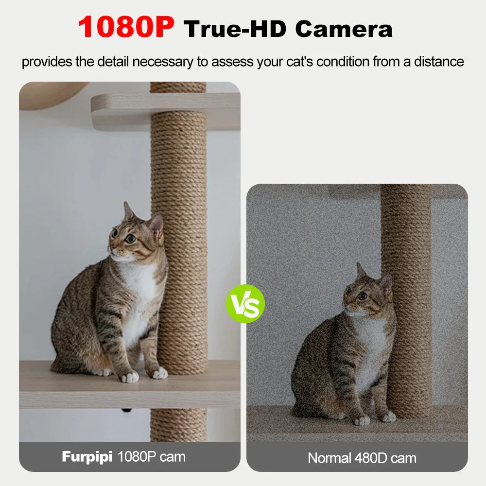 Furpipi 8L Smart Automatic Cat and Dog Feeder with HD Camera-My Little Pet