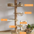 Floor-to-Ceiling Cat Tree Tower-My Little Pet