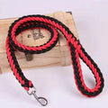 Nylon Dog Leash for Medium to Large Dogs – Training & Walking Lead - My Little Pet