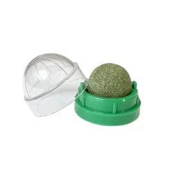 Cat Scratching Post with Catnip - Wall-Mounted Toy for Cats-My Little Pet