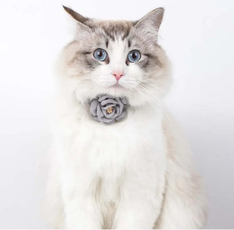 Adjustable Cat Flower Collar with Safety Button-My Little Pet