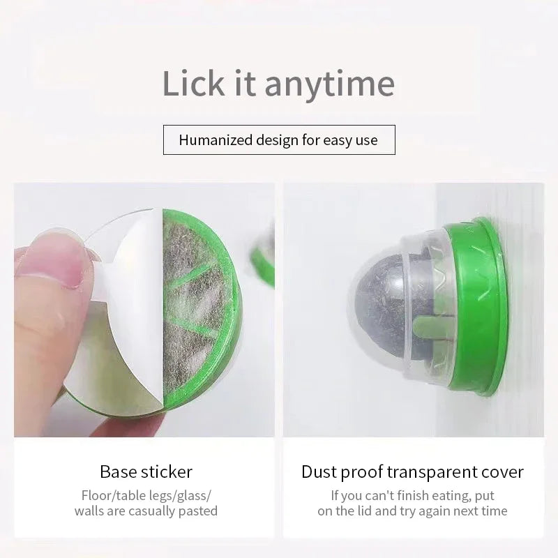 Cat Scratching Post with Catnip - Wall-Mounted Toy for Cats-My Little Pet