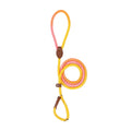 Durable Nylon Dog Leash for Puppies and Adult Dogs-My Little Pet
