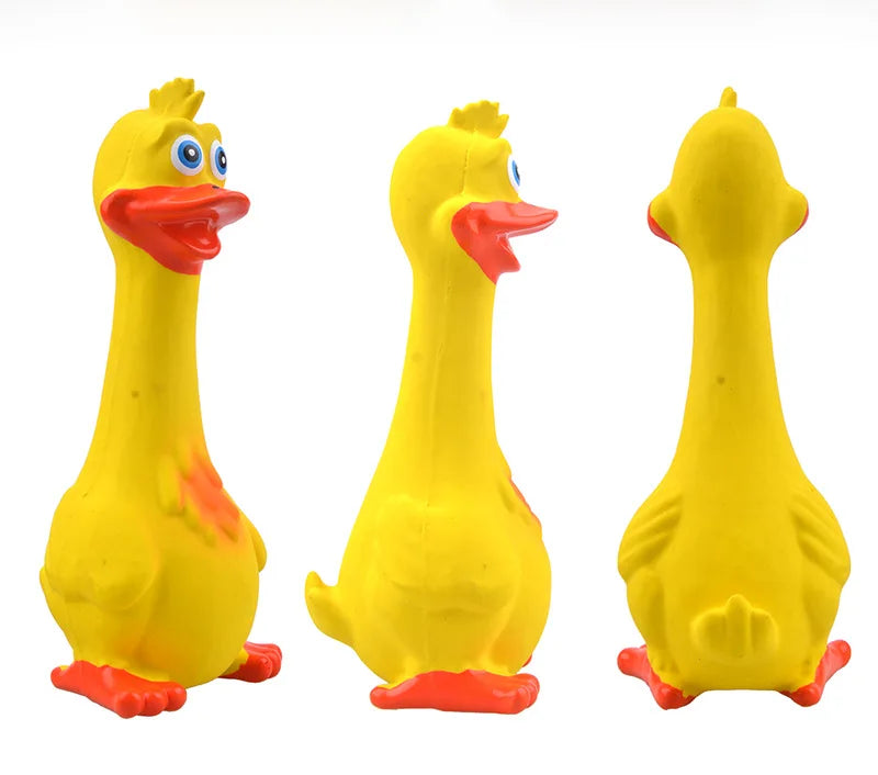 HARKO Durable Squeaky Dog Toy for Puppies - Bite Resistant Chew Toy with Sound-My Little Pet