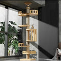 Floor-to-Ceiling Cat Tree Tower-My Little Pet