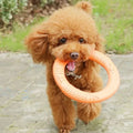 Durable Dog Chew Ring – Lightweight Fetch Toy for Active Play-My Little Pet