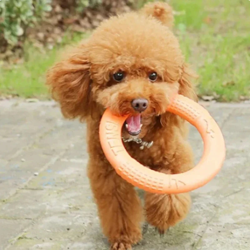 Durable Dog Chew Ring – Lightweight Fetch Toy for Active Play-My Little Pet