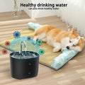 Automatic Stainless Steel Pet Water Fountain with Ultra-Silent Pump-My Little Pet