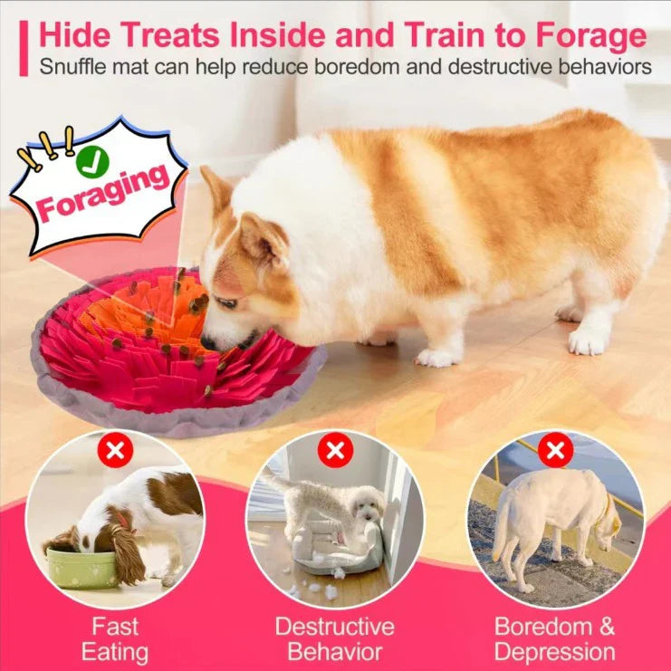 Foldable Felt Snuffle Mat for Dogs - Interactive Slow Feeding Training Toy-My Little Pet
