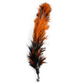 11-Piece Retractable Cat Feather Toy Set-My Little Pet