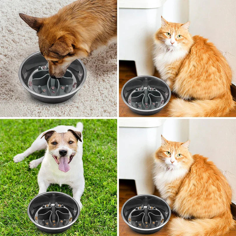 Silicone Slow Feeder Insert for Dogs with Suction Cup-My Little Pet