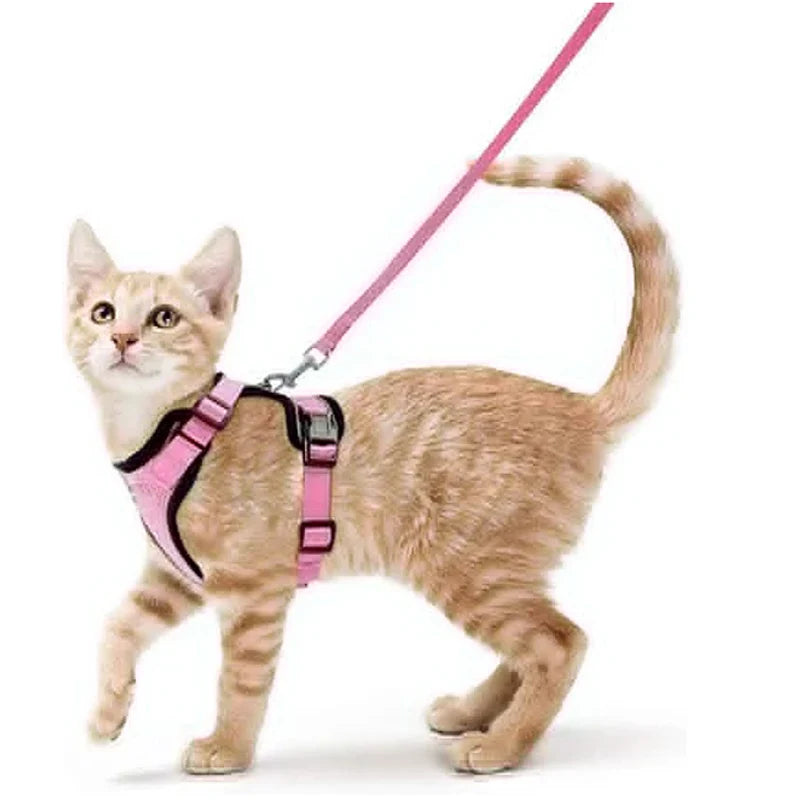 Escape-Proof Cat Harness and Leash – Soft Adjustable Vest for Walking-My Little Pet
