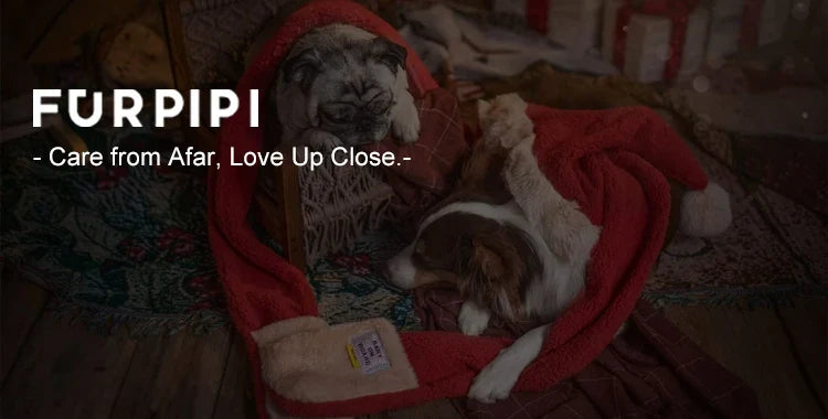 Furpipi 8L Smart Automatic Cat and Dog Feeder with HD Camera-My Little Pet