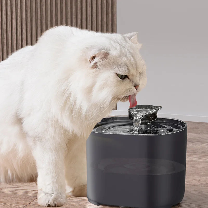 USB Electric Cat Water Fountain with Cat Ear Design and Quiet Pump-My Little Pet