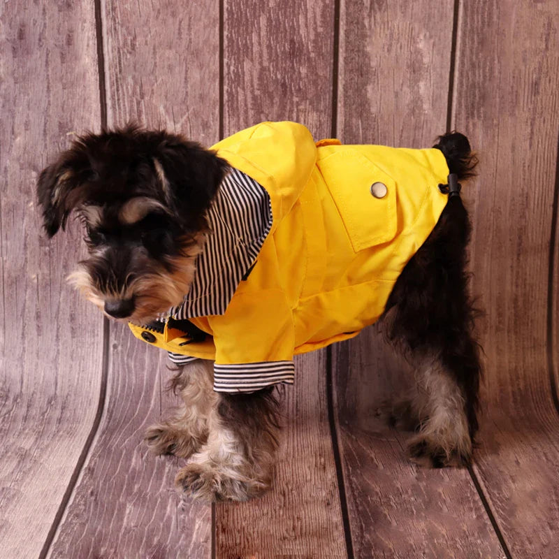 Waterproof Dog Jacket for All Breeds - Warm and Windproof-My Little Pet