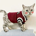 Cozy Autumn/Winter Pet Sweater for Cats and Small Dogs-My Little Pet