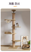 Floor-to-Ceiling Cat Tree Tower-My Little Pet