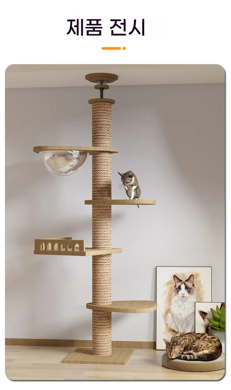 Floor-to-Ceiling Cat Tree Tower-My Little Pet