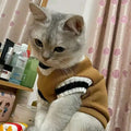 Cozy Autumn/Winter Pet Sweater for Cats and Small Dogs-My Little Pet
