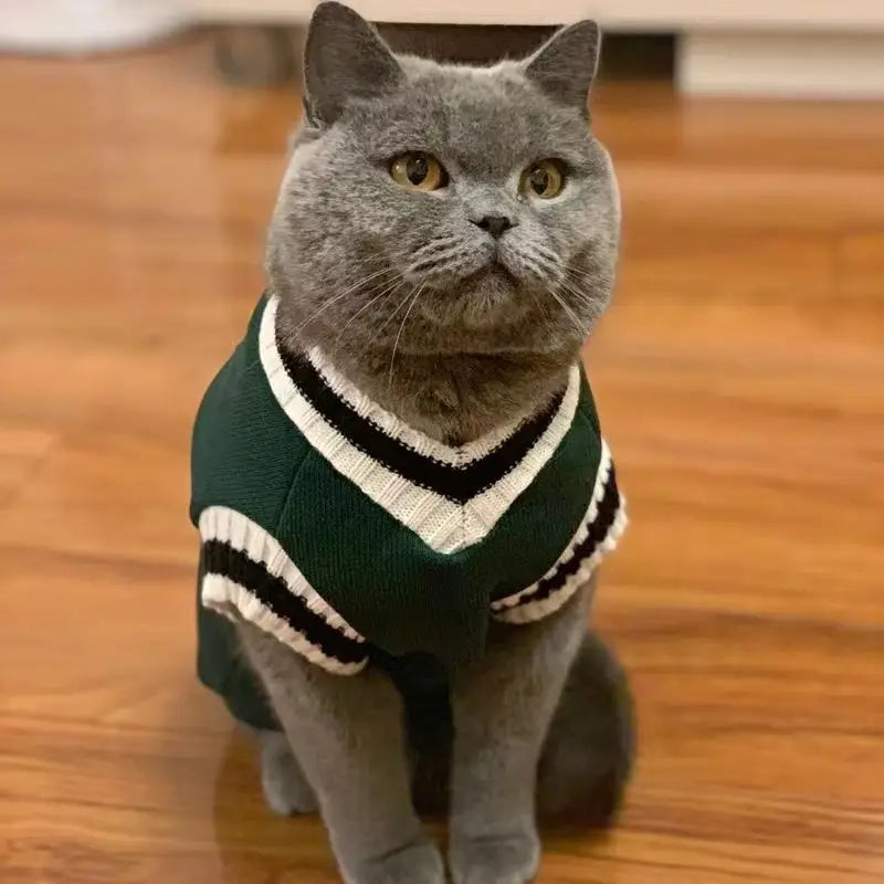 Cozy Autumn/Winter Pet Sweater for Cats and Small Dogs-My Little Pet