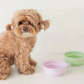 Portable Folding Dog Bowl – Silicone Food & Water Container for Travel - My Little Pet