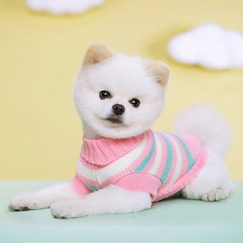 Classic Knit Sweater for Small to Medium Dogs-My Little Pet