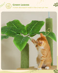 Adjustable Floor-to-Ceiling Cactus Cat Tree - Tall Activity Tower with Condo & Hammocks-My Little Pet