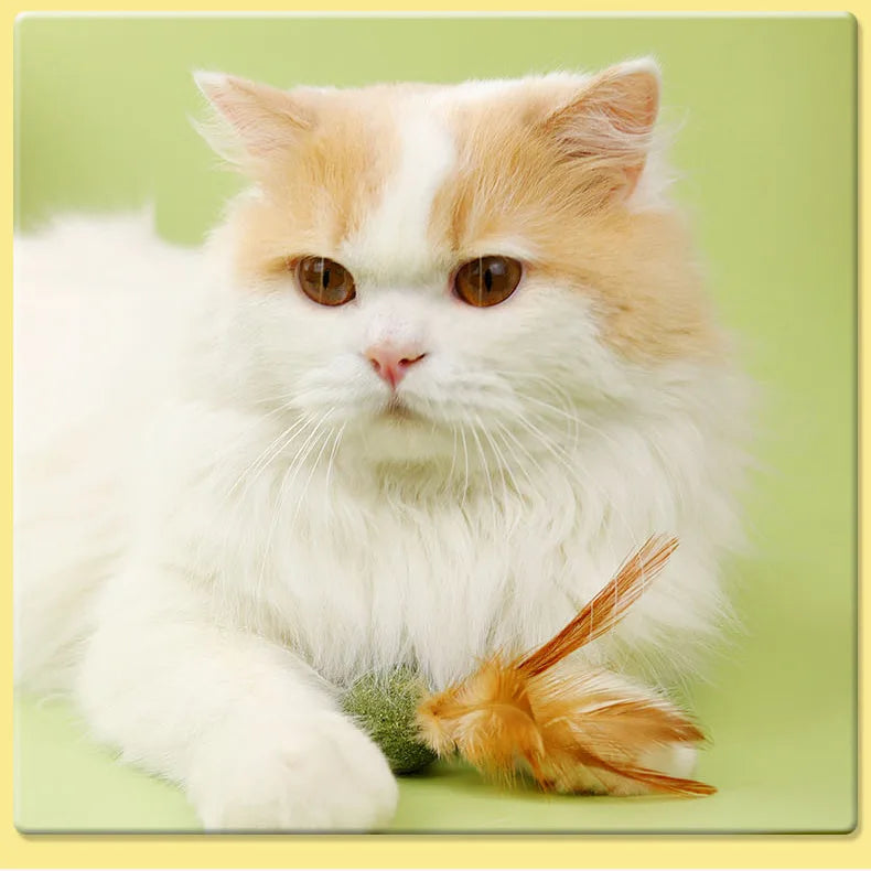Feather Catnip Ball Toy for Cats - Enhances Digestion and Dental Health-My Little Pet