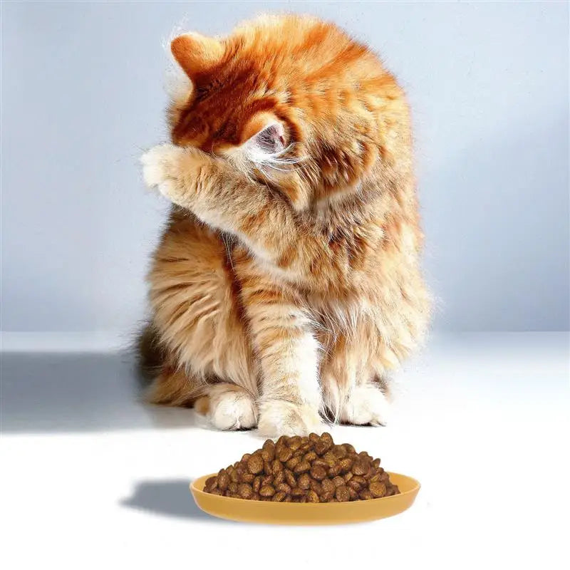 4-Piece Shallow Cat Food Bowls - Wide Pet Feeding Plates-My Little Pet