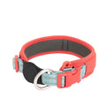 Adjustable Reflective Nylon Dog Collar with AirTag Holder-My Little Pet