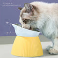 Elevated Pet Bowls – Ergonomic Design for Comfort and Health-My Little Pet