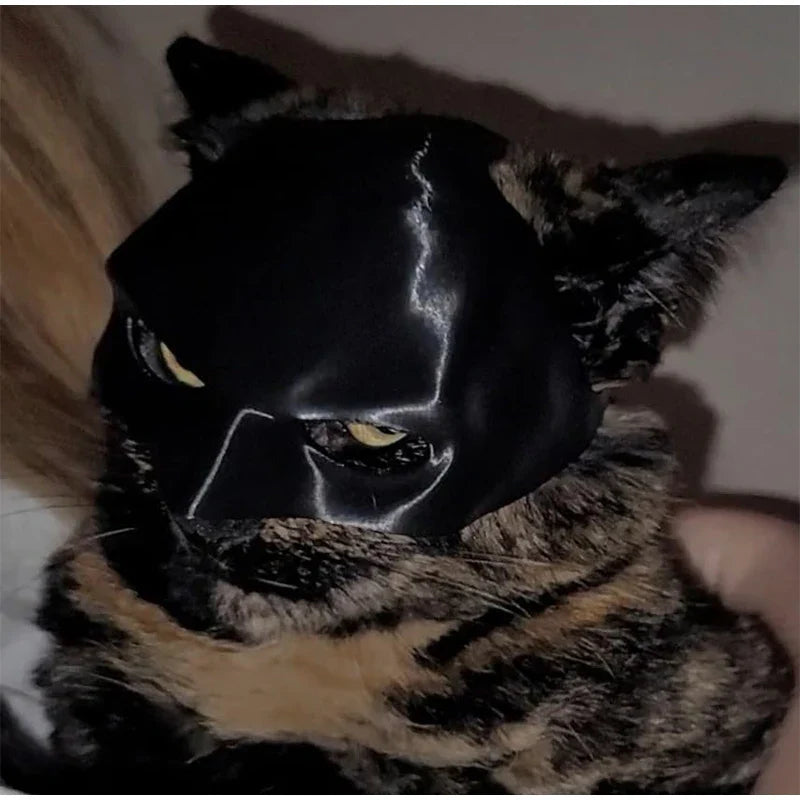 3D Printed Pet Costume Mask for Cats - Funny Bat Design-My Little Pet