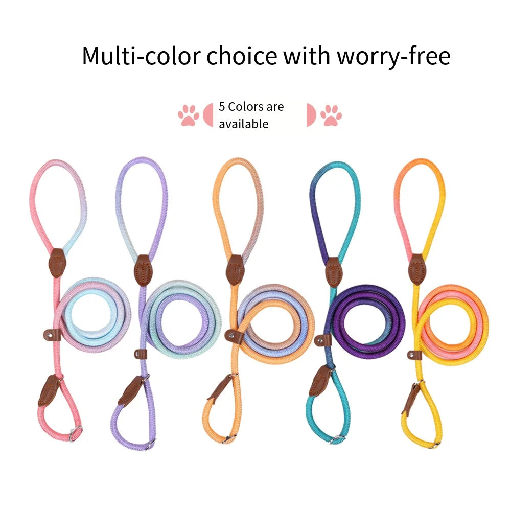 Durable Nylon Dog Leash for Puppies and Adult Dogs-My Little Pet