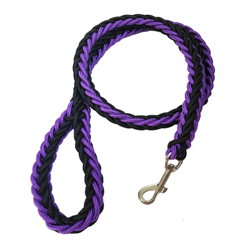 Nylon Dog Leash for Medium to Large Dogs – Training & Walking Lead - My Little Pet