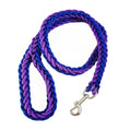 Nylon Dog Leash for Medium to Large Dogs – Training & Walking Lead - My Little Pet