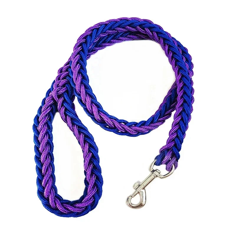 Nylon Dog Leash for Medium to Large Dogs – Training & Walking Lead - My Little Pet