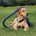 Nylon Dog Leash for Medium to Large Dogs – Training & Walking Lead - My Little Pet