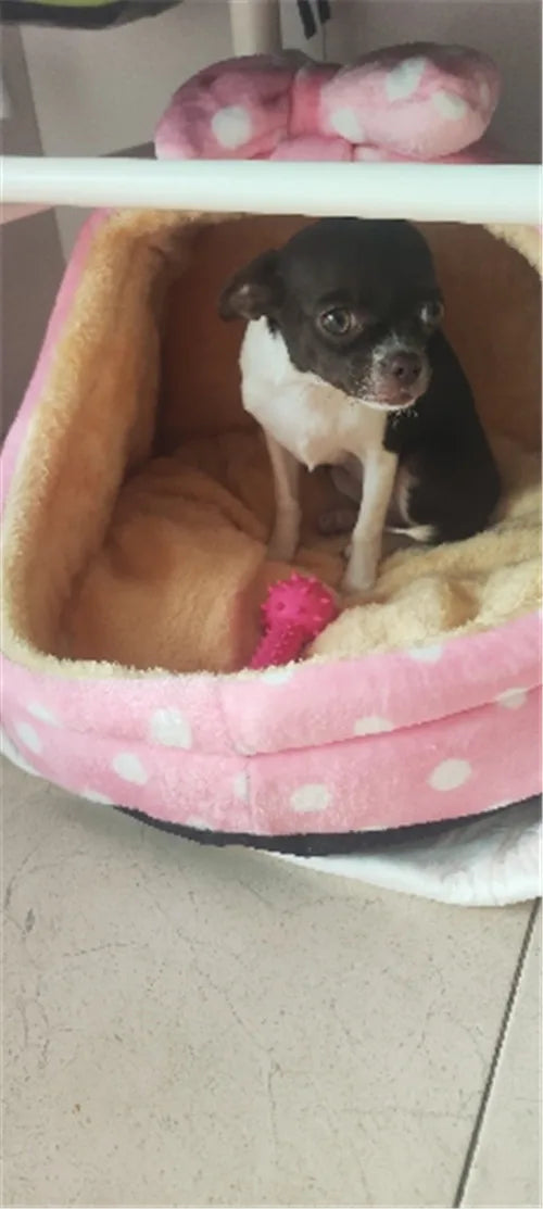 Cozy Pet Bed for Small to Medium Dogs and Cats-My Little Pet