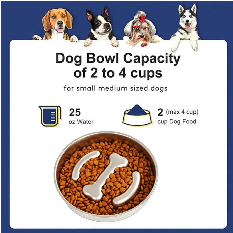 Anti-Choking Slow Feeder Dog Bowl in Stainless Steel-My Little Pet