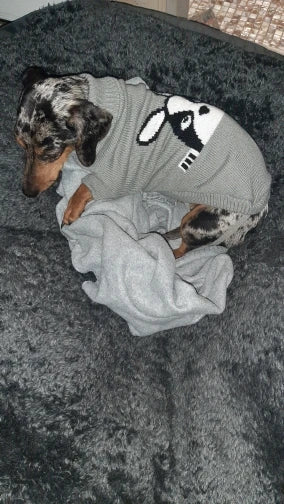 Cozy Knitted Sweater for Small to Medium Dogs and Cats-My Little Pet