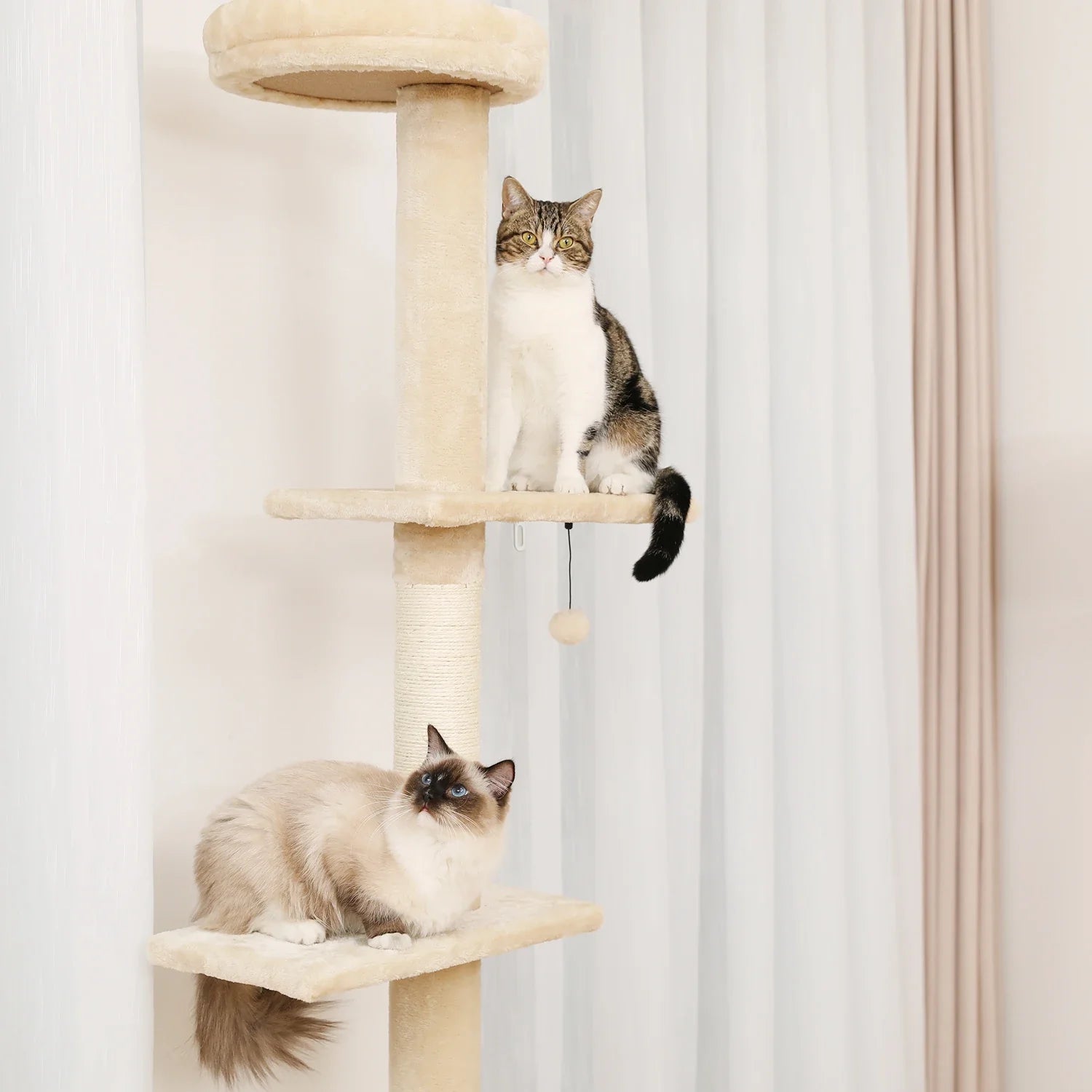 Floor-to-Ceiling Cat Tree - 228-274cm Tall Cat Climbing Tower-My Little Pet