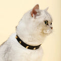 Elegant Black Leather Cat Collar with Gold Star and Moon Rivets-My Little Pet