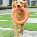 Durable Dog Chew Ring – Lightweight Fetch Toy for Active Play-My Little Pet