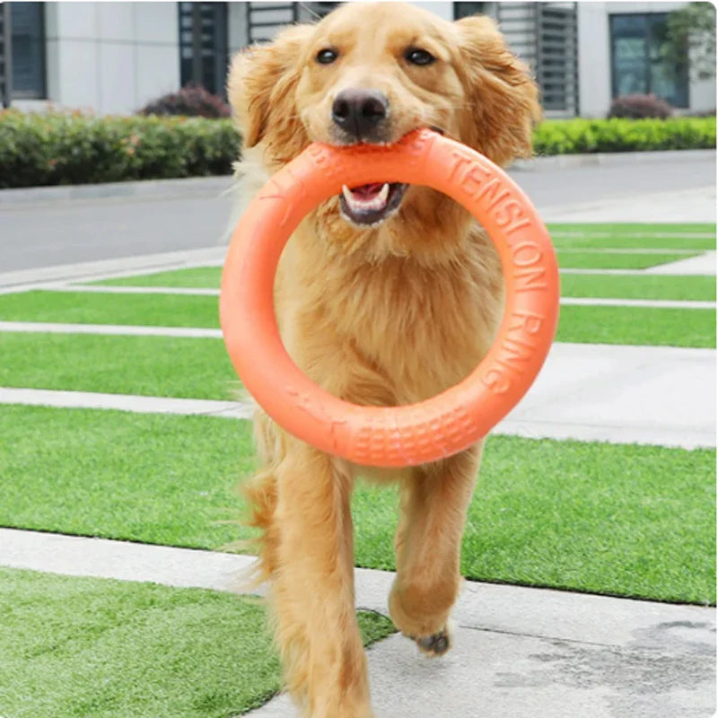 Durable Dog Chew Ring – Lightweight Fetch Toy for Active Play-My Little Pet