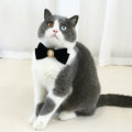Elegant Velvet Cat Collar with Pearl and Bowknot-My Little Pet