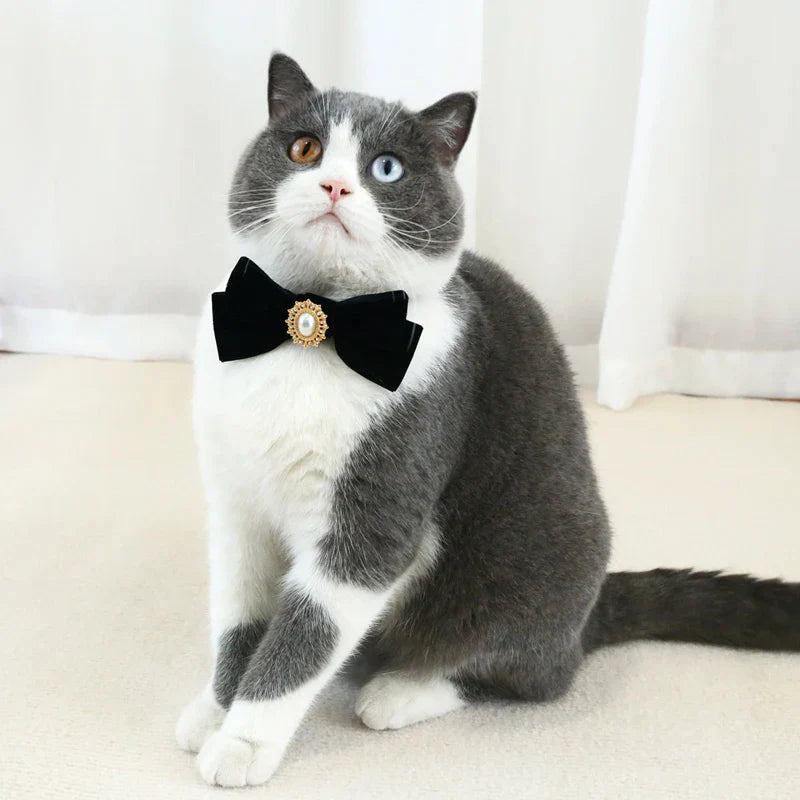 Elegant Velvet Cat Collar with Pearl and Bowknot-My Little Pet