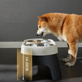 Elevated Stainless Steel Dog and Cat Feeder-My Little Pet