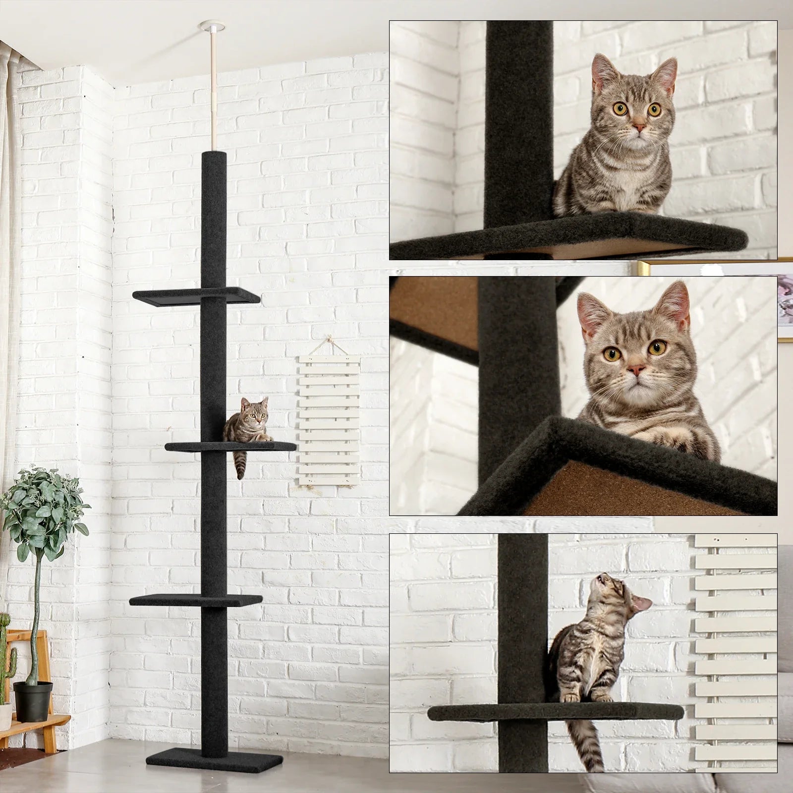 Adjustable Height Floor-to-Ceiling Cat Tree - Scratching Posts & Cat Tower-My Little Pet