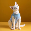 Cat Sterilization Recovery Vest-My Little Pet