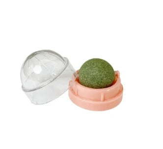 Cat Scratching Post with Catnip - Wall-Mounted Toy for Cats-My Little Pet